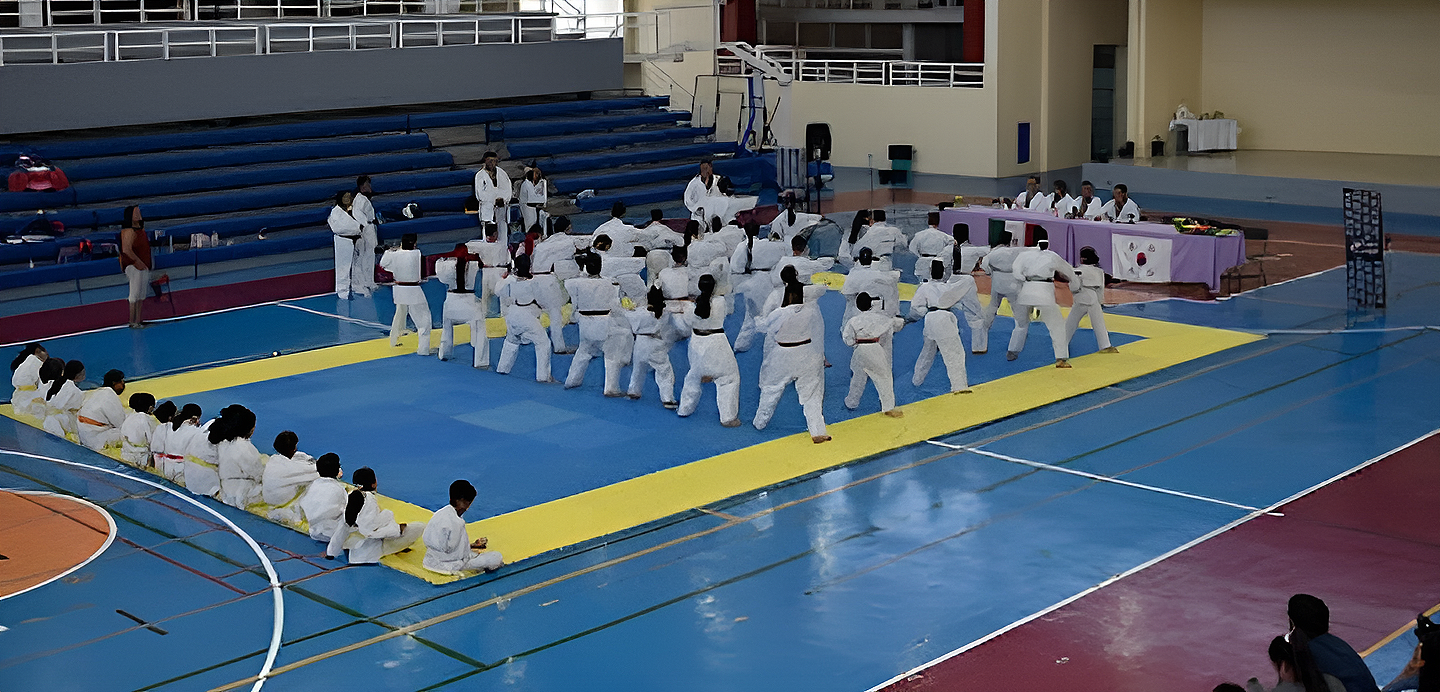 Asociación Deportiva Taekwondo Dorantes